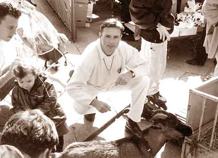 Michael's Escorts, Amsterdam  