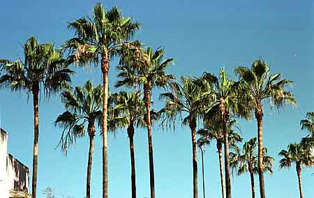 Hillcrest Inn, San Diego