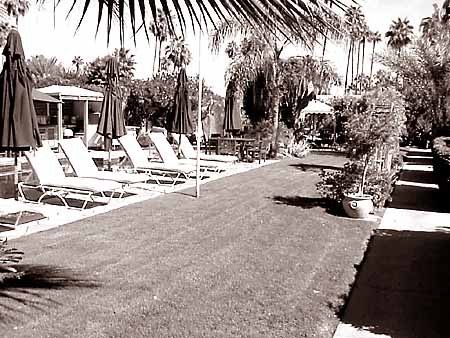 Chestnutz has a heated pool!