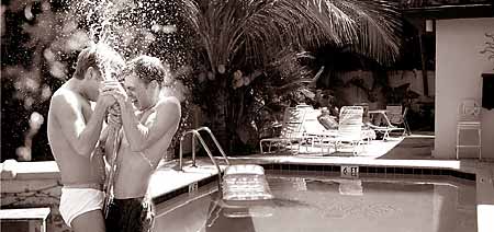 Tiled walkways sweep through lush gardens at Orton Terrace