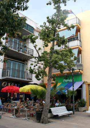 Parrots Restaurant, Sitges