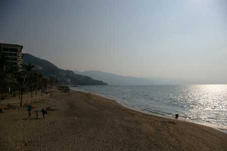 nobiz, Puerto Vallarta