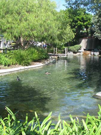 nobiz, San Diego Area