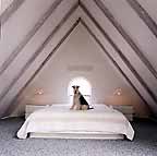 Scudder in the Ampersand Room