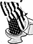 usa in the toilet