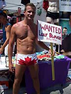 Leaf blower-- nice work if you can get it